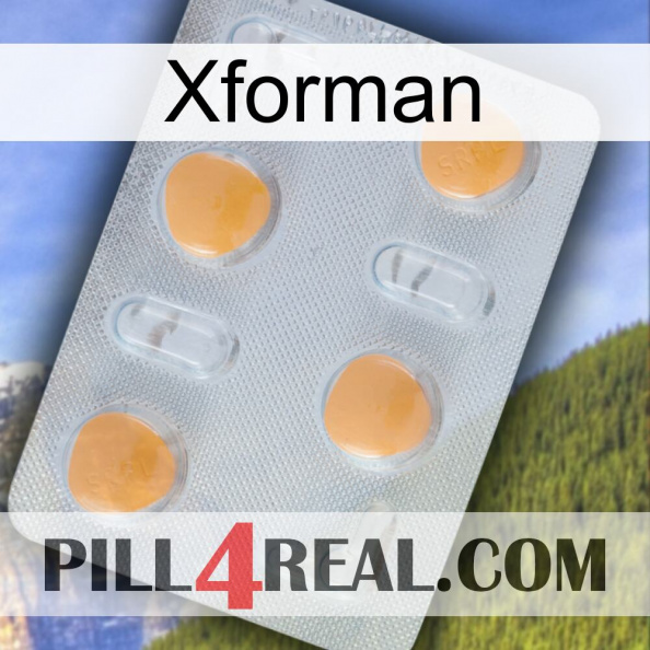 Xforman 24